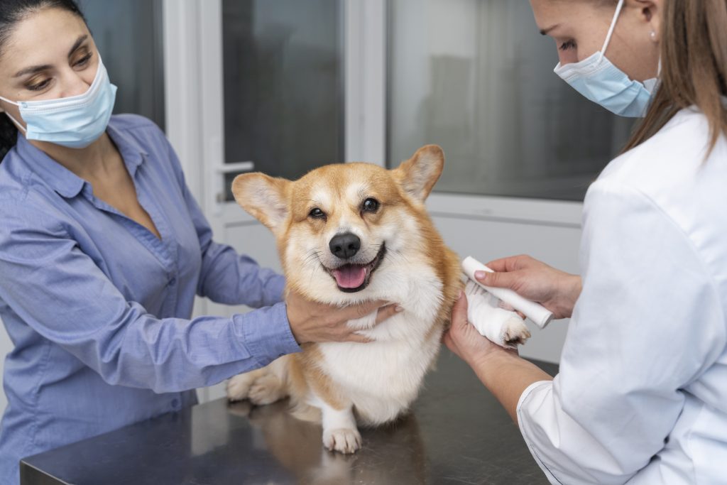 Dierenkliniek in Houten